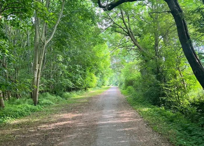 Strandhaus Jp Apartamento